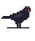Three Eyed Raven